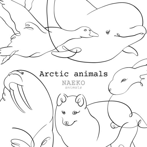 NAEKO Arctic animals