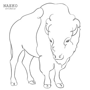NAEKO American bison
