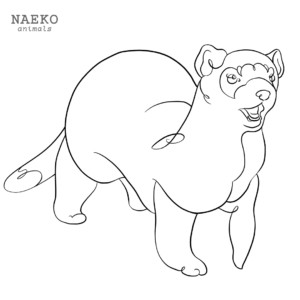 NAEKO Black footed ferret
