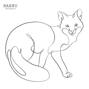 NAEKO Gray fox