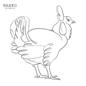 NAEKO Greater prairie chicken