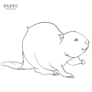 NAEKO American beaver