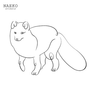 NAEKO Arctic fox