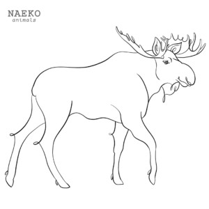 NAEKO Elk