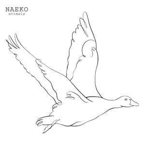 NAEKO Snow goose