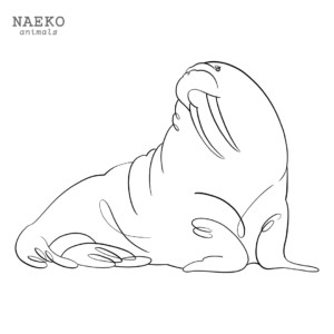 NAEKO walrus